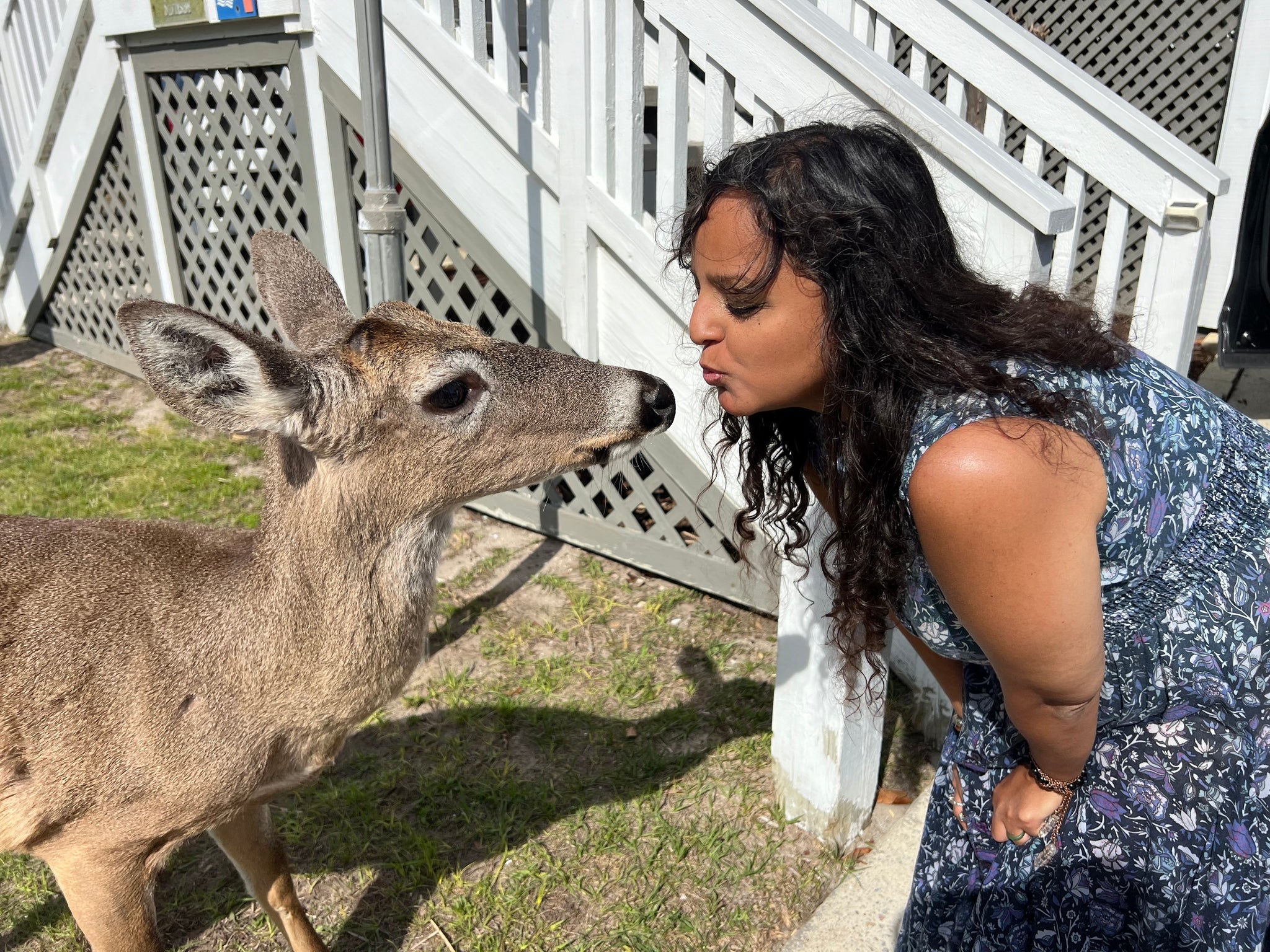 A Deer Kissed Me On the Lips!