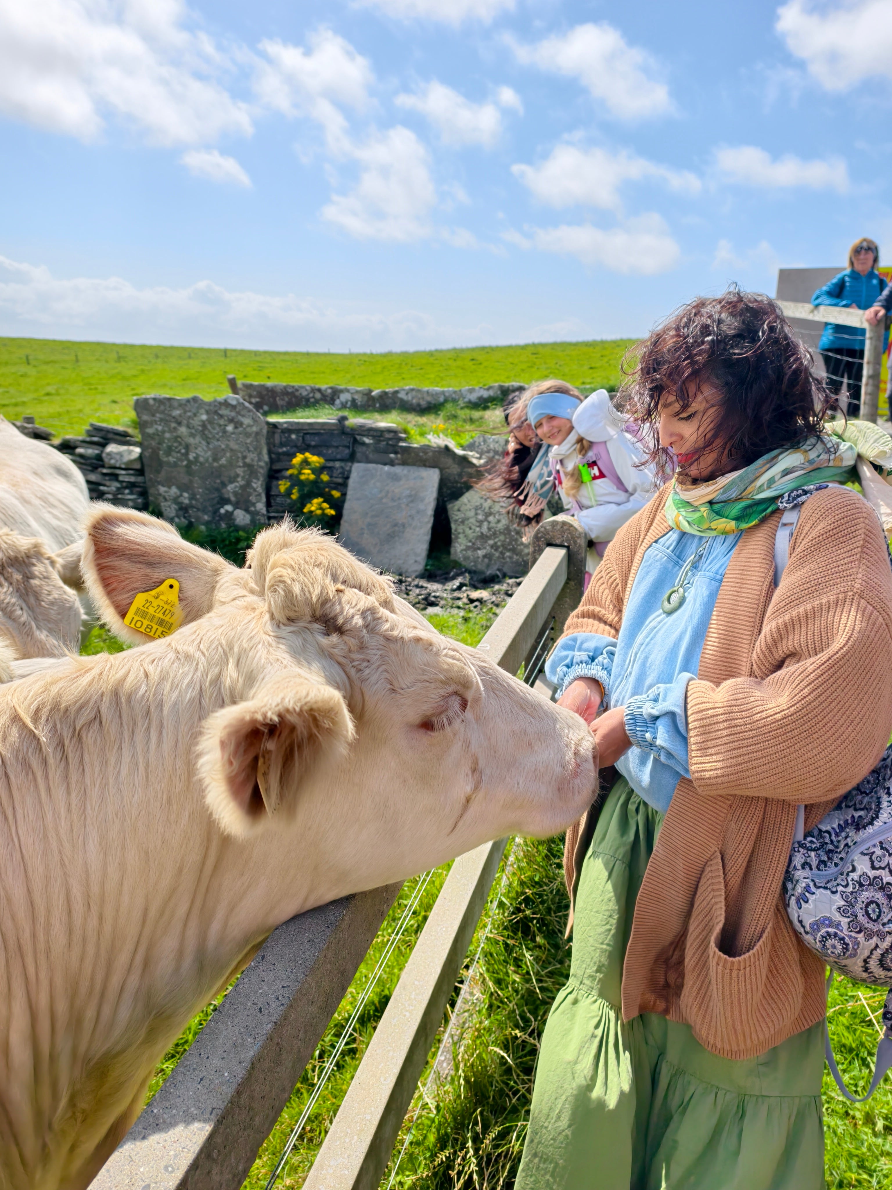 Session - Reiki Angelic Alchemy Healing