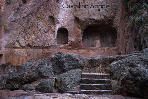 Workshop - The Oracle of Delphi - Becoming an Alchemy & Master of Timelines