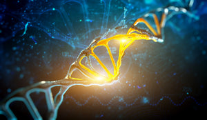 Workshop - Archangel Raphael - HUMAN ANATOMY - Healing The Human Body, DNA & Trauma