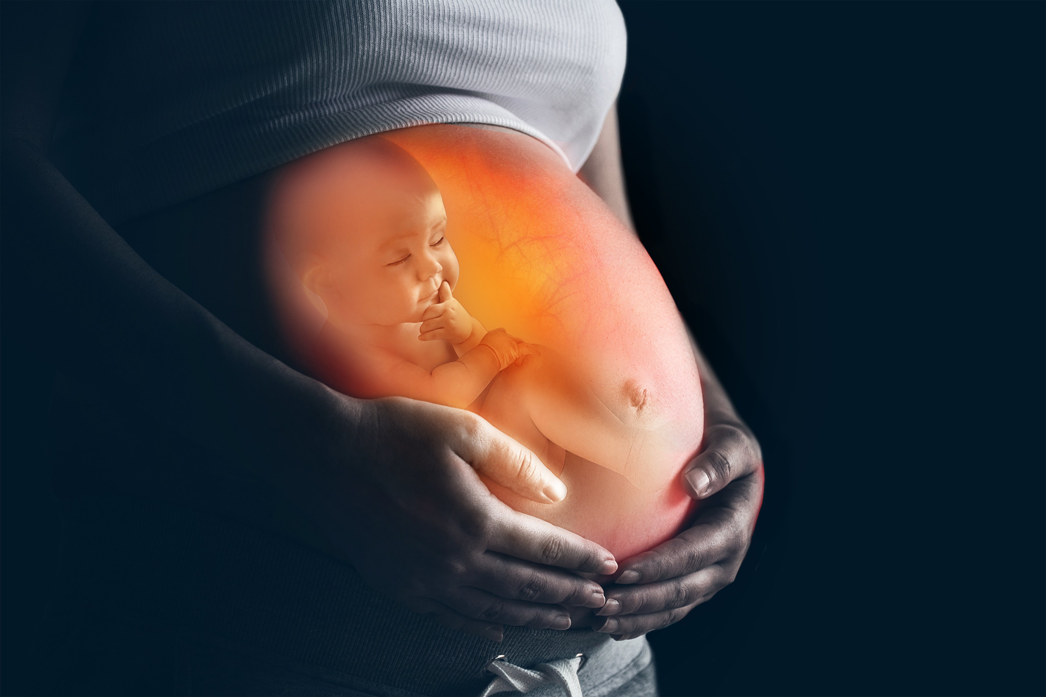 Workshop - Mother Mary - The Divine Path of Mother & Sacred Childbirth