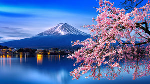 Retreats - Live Reunion For A.U.R.A. Hypnosis Practitioners