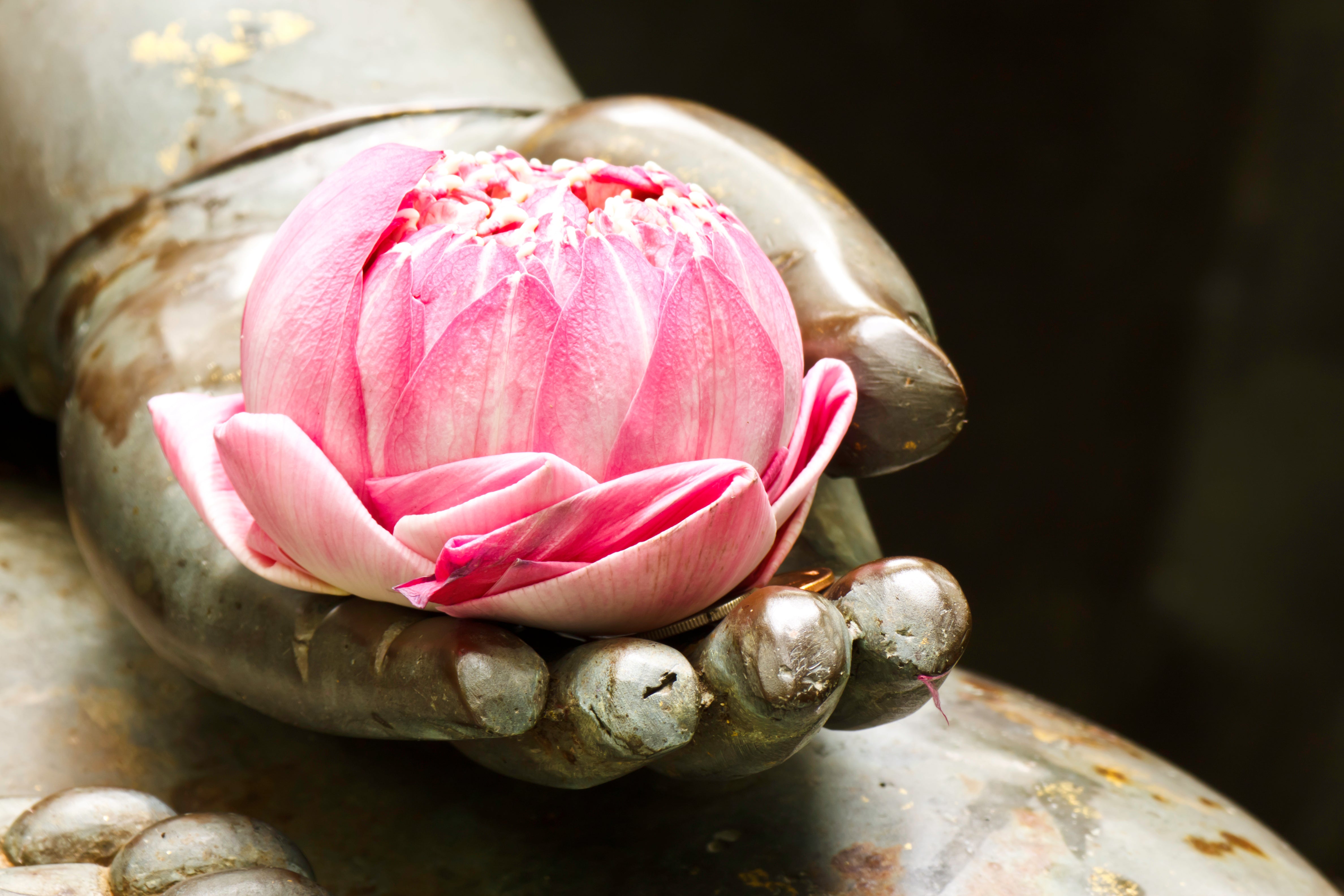 Workshop - Buddha - Understanding The Brain & Consciousness - The Path of Enlightenment