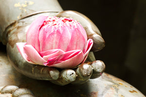 Workshop - Buddha - Understanding The Brain & Consciousness - The Path of Enlightenment
