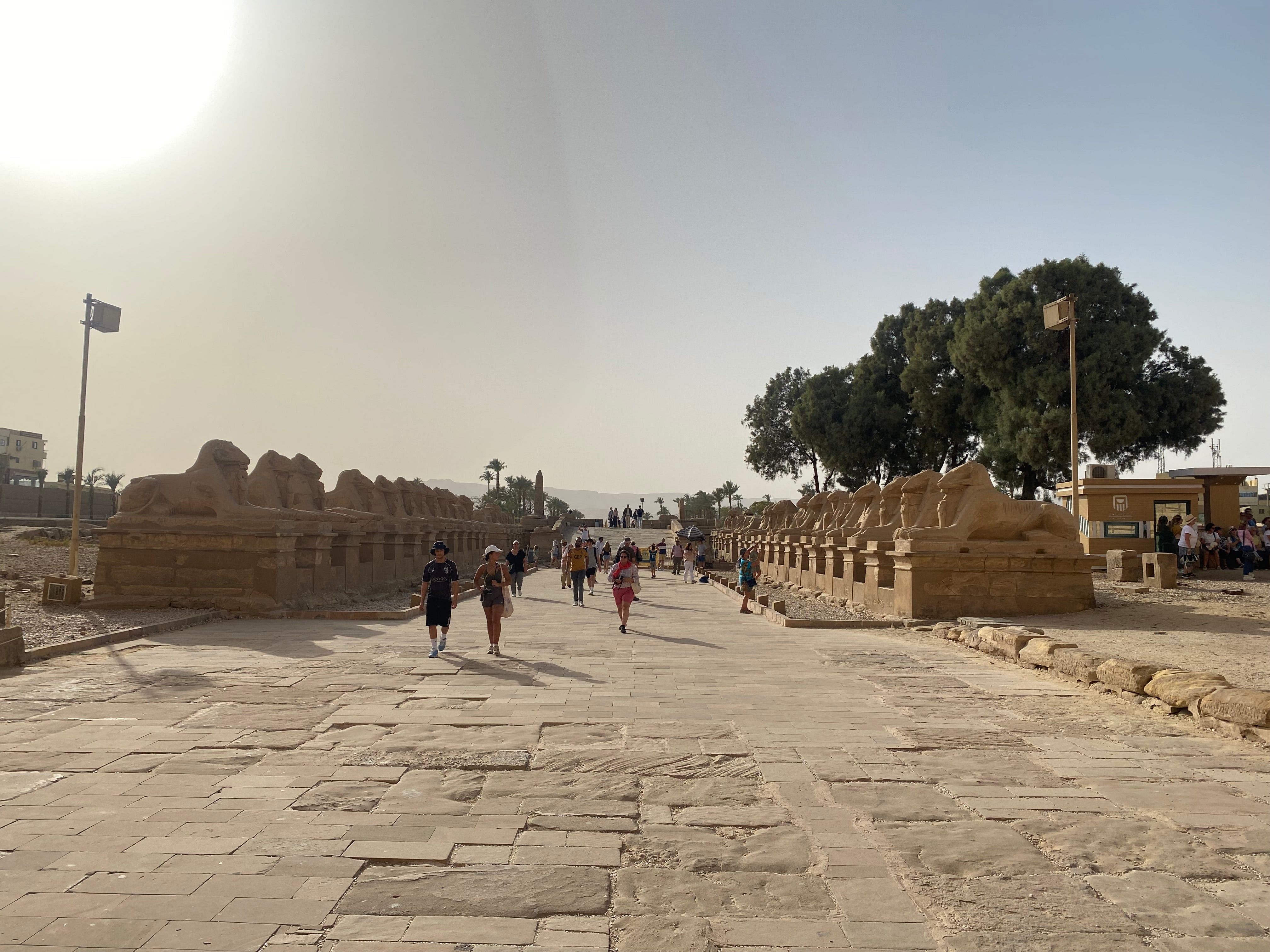Workshop - Unveiling The Mystics of Egypt Course Series