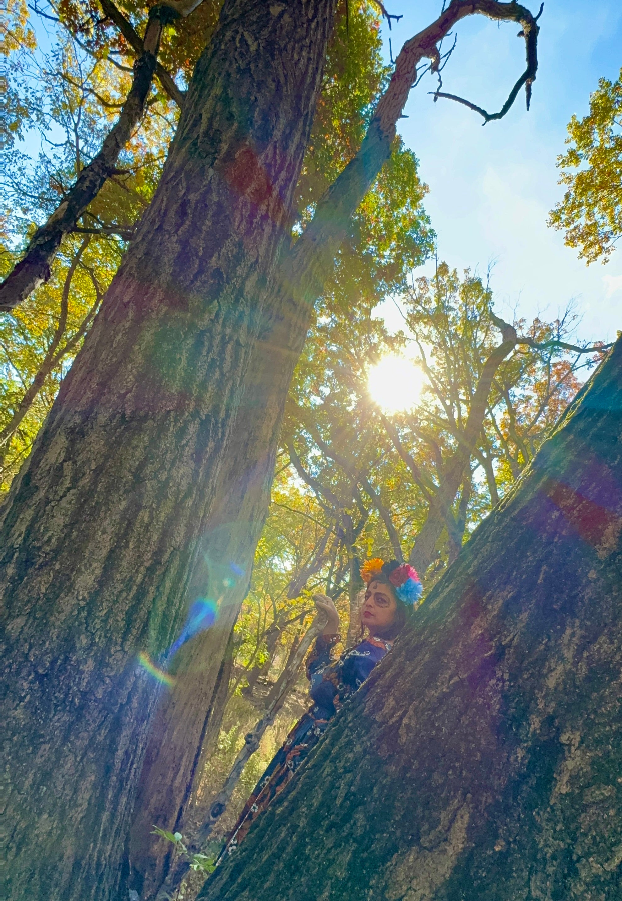 Retreats - Live In-Person Certifications A.U.R.A. Hypnosis & R.A.A.H. Reiki Healing