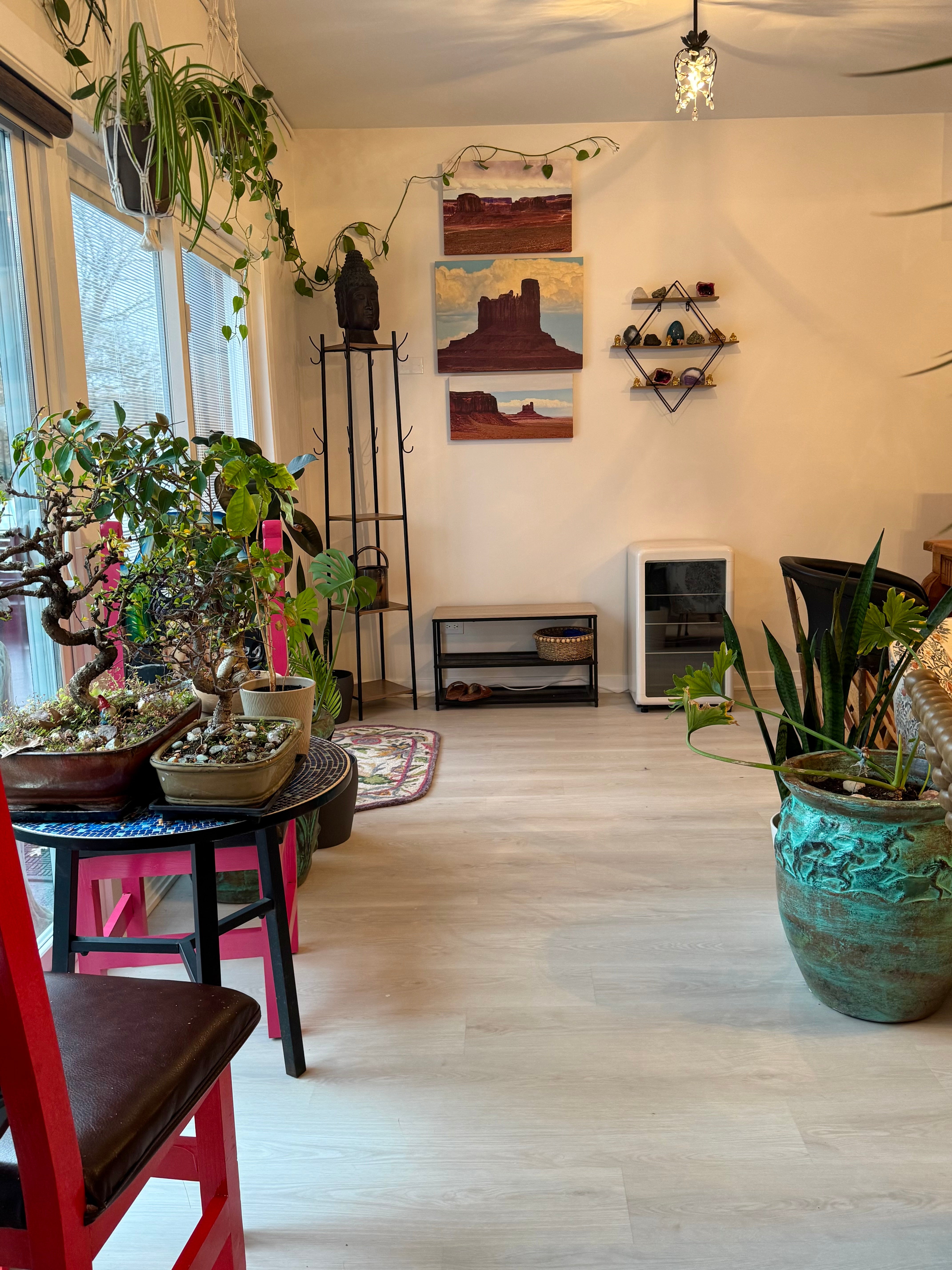 Retreats - Live In-Person Certifications A.U.R.A. Hypnosis & R.A.A.H. Reiki Healing