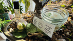 Pearls, Crystals, Candles & Oils Mystery Box Membership