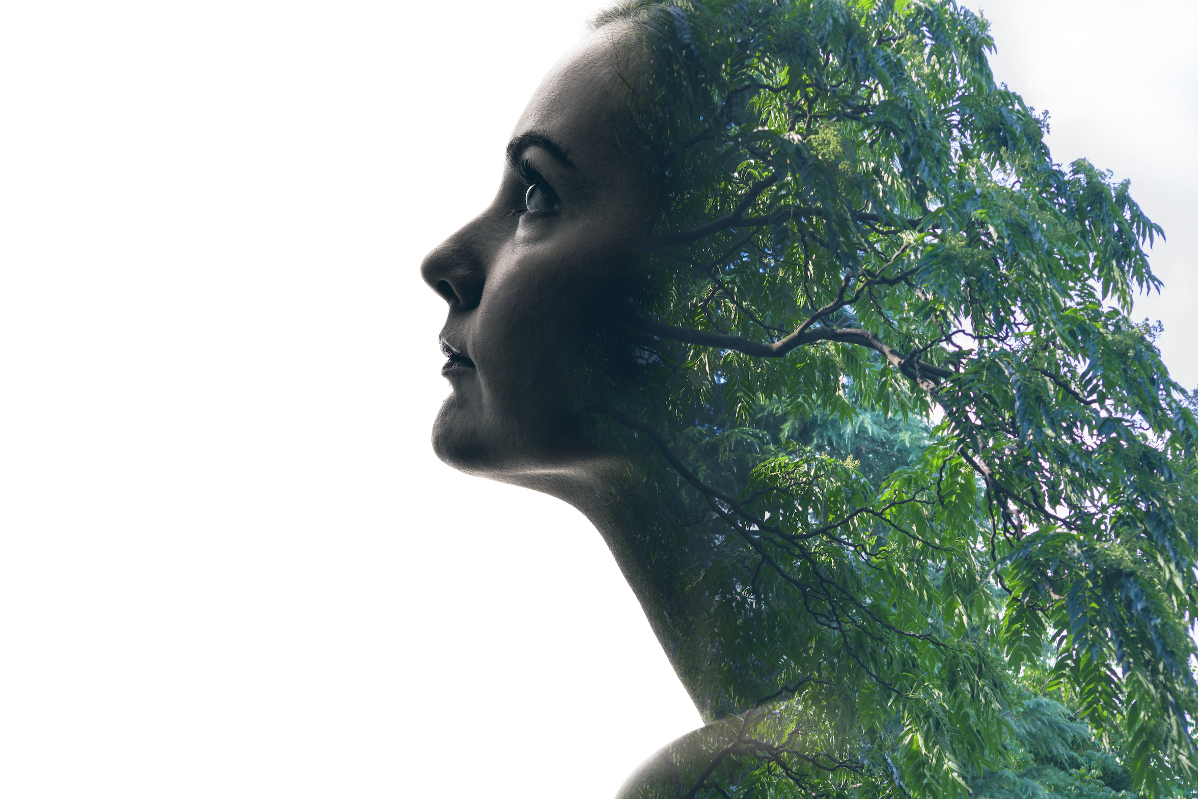 Workshop - Archangel Raphael - HUMAN ANATOMY - Healing The Human Body, DNA & Trauma