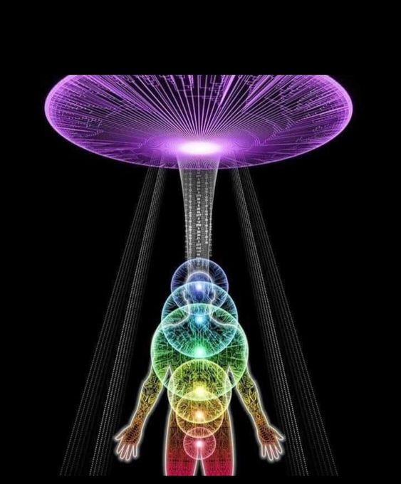 Workshop - Buddha - Understanding The Brain & Consciousness - The Path of Enlightenment