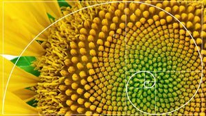 Workshop - Archangel Raphael - HUMAN ANATOMY - Healing The Human Body, DNA & Trauma